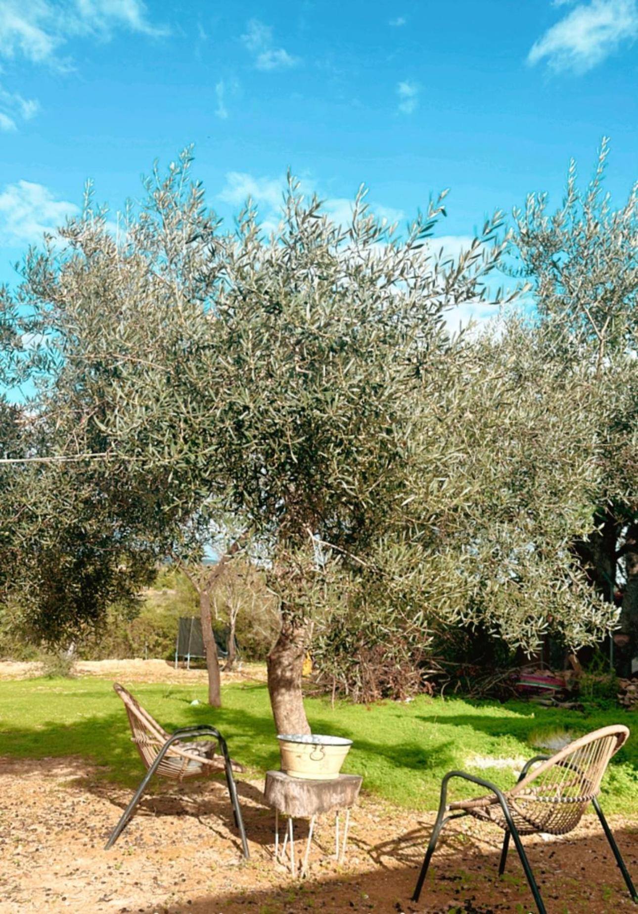 La Quinta Da Liberdade - Ferme De Charme En Algarve Pechão Exterior foto